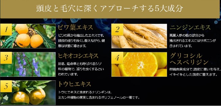 O[p[i򕔊OiEpэ܁jɂ