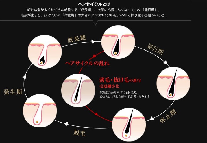 O[p[i򕔊OiEpэ܁jɂ